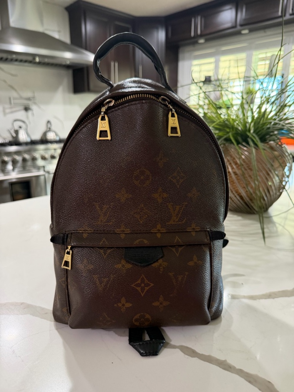 Louis Vuitton Monogram Mini Backpack in Brown with Gold Hardware